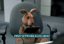Dish Network Kangaroo The Forgotten Streaming Experiment That Tried to Change Television