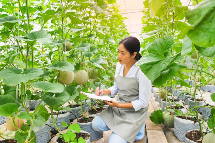 verdant technologies