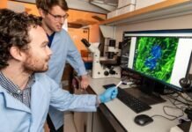How Undergrad Research Gatech Works Opportunities & Insights