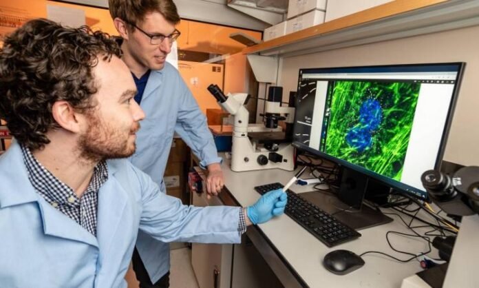 undergrad research gatech